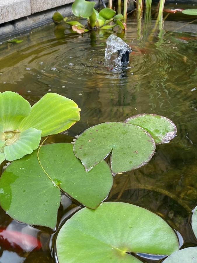 Margareta Garden Boutique Rooms เอ็กเกอร์ ภายนอก รูปภาพ