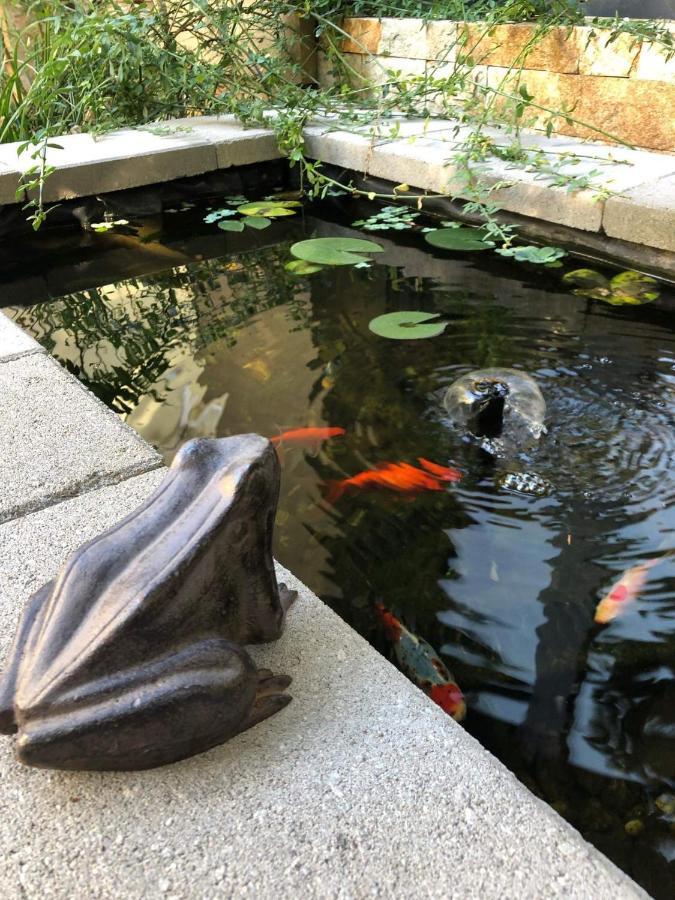 Margareta Garden Boutique Rooms เอ็กเกอร์ ภายนอก รูปภาพ